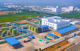 中京建設集團-河南濮陽龍德洋新材料有限公司